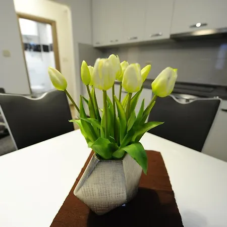 Appartamento The Star Spalato